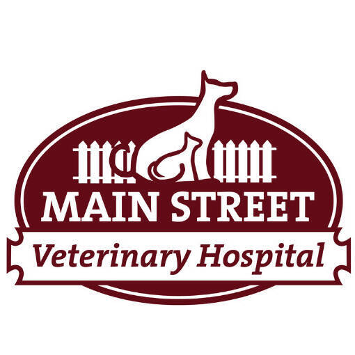 Main Street Veterinary Hospital in Cornelius Scholarship